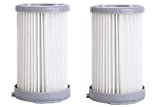 Green Label Pack de 2 Filtros de Cartucho HEPA para Aspiradoras Electrolux, AEG (Alternativa a EF75B, 9001959494, AEF75B, F 120)