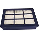 Filtro Hepa H14 Elite para aspiradora 107409854 Nilfisk, Paris-Rhone