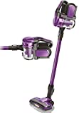 Aspirador ciclónico Royalty line 21.6v inalámbrico y bolsa 1500W