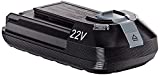 Rowenta - Batería de iones de litio desmontable de 22 V para aspiradora multifunción X-Force Flex 8.60 ZR009700