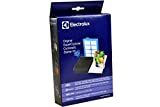 Electrolux, Juego de filtros para aspiradora, compatible con AEG Super Cyclone ASC 6910, hasta ASC 6945