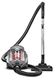 Aspirador Inventor INVMC20, Remolque sin Bolsa, 700W, depósito 2L, Filtro HEPA H12, Silencioso y Compacto, 8 Metros de Cable - 2 cepillos adicionales.(WEEE N° IT19070000011514)
