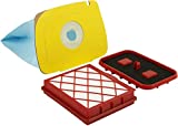 10 bolsas de aspiradora Kenekos con juego de filtros para Lux 1 D 820 Royal de Electrolux, bolsa con tapa de cartón resistente, filtro HEPA y filtro de aire de escape
