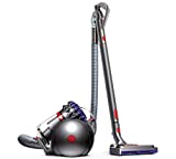 Dyson Pelota Grande Animal 2