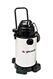 Gisowatt INDUSTRIAL 30 húmedo y seco Aspirador-todo húmedo y seco y soplado con carro, 30 Litros, Inox