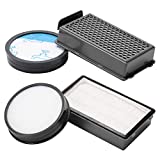 Kit de 2 filtros HEPA para aspiradora Rowenta Powerline Extreme Cyclonic RH8021WB RH8037WA RH8055WA RH8121WB RH8133WA RH8147WA RH8155WA RH8165WA (comparar ZR903601) con 2 esponjas de filtro