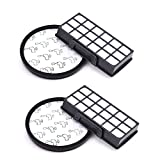 Kit de 2 filtros para aspiradora ciclónica Rowenta X-Trem Power RO6941EA RO6951EA RO6963EA RO6971EA RO6984EA RO6993EA (modelo RO69xx), filtros HEPA con filtro de esponja Accesorios de repuesto ZR006001