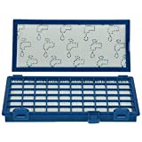 Rowenta ZR902301 - Filtro HEPA para aspiradora cilónica X-Trem PowerTM