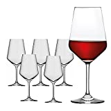 RASTAL, Colección HARMONY 53 - Juego de 6 copas de degustación, Capacidad 51,2 cl