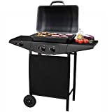 BAKAJI Barbacoa a Gas 2 Quemadores Barbacoa con Doble Placa Lateral y Ruedas Parrilla para Exterior Jardín Terraza Dimensiones 98 x 44 x 100 cm