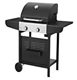 Barbacoa Parrilla Cocina Gas Exterior QLIMA OKG102 2 Quemadores 6000 Watt - Exterior
