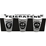 GRUSS & CO 47676 - Juego de copas de licor, motivo celebración, en copa, 6 cl, con banda de regalo
