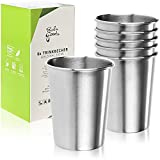 Robin Goods® 6 Vasos de Acero Inoxidable - Vasos de Acero Inoxidable de Alta Calidad - Vasos de Viaje 250 ml - irrompibles y libres de BPA (6 Piezas - Color Plata)
