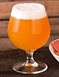 Snifter en forma de cerveza especialista en vaso 53 cl