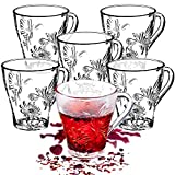 KADAX, juego de 6 vasos de té, con asa, vasos para agua, zumo, vasos de cristal, juego de vasos para té, café, agua, bebida, té helado, jardín (Erna, 250 ml)