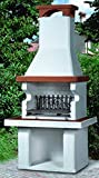 CHIMENEA EDILMARK Barbacoa de leña Modelo 70 con grill, Leña
