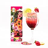 HISA DARIL® XXL copa de cóctel 700ml incl.  Caja de regalo y posavasos, vasos Aperol Spritz & Gin, juego de regalo para mujer, regalos de mejores amigas para cumpleaños, gracias o Navidad.